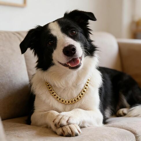 Gold Cuban Link Dog Chain Collar,Heavy-Duty,Fade-Resistant Metal Necklace for Medium & Large Dogs, Durable & Stylish Pet Jewelry (Gold, 18"(Neck Fits 14–17.5 in)) in Kuwait