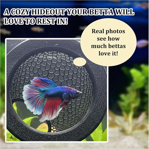 2-Piece Betta Hammock, Betta Tank Accessories for Bettas Fish Rest and Sleep, Bettas Fish Tank Decor with Bettass Hideout and Bettass Cave, Set for Aquarium Decorations in Kuwait