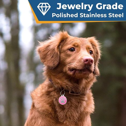 GoTags Personalized Dog Tag with Swarovski Crystal Paw, Pet ID Personalized Dog ID Engraved with Name & Number Custom Cat Info, Round Stainless Steel Sparkle Glitter Gemstone (Large Pack of 1) in Kuwait