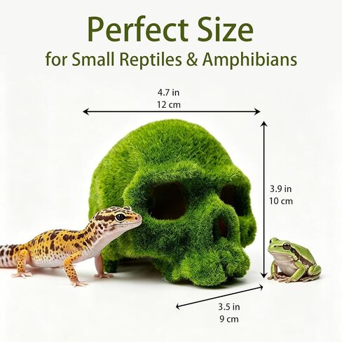 4.7" Realistic Mossy Skull Reptile Decor, Tank Accessories for Leopard Gecko, Crested Gecko, Bearded Dragon, Lizard, Axolotl & Fish Tank, Aquarium Decor in Kuwait