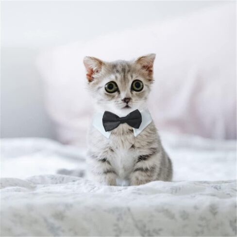 Black Large Size Dog Bow Tie Basic Collars,Grooming Accessories Kitten Adjustable Formal Suit for Puppy Pet in Kuwait