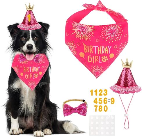 Medium Dog Birthday Bandana Set - Girl Dog Birthday Hat with Numbers Bandana and Bow Tie for Party Decorations Rose in Kuwait