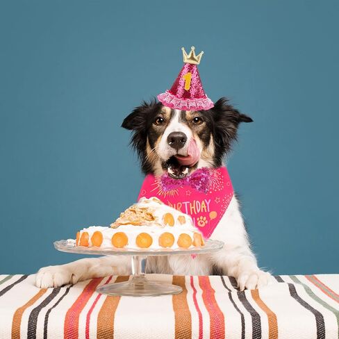 Medium Dog Birthday Bandana Set - Girl Dog Birthday Hat with Numbers Bandana and Bow Tie for Party Decorations Rose in Kuwait