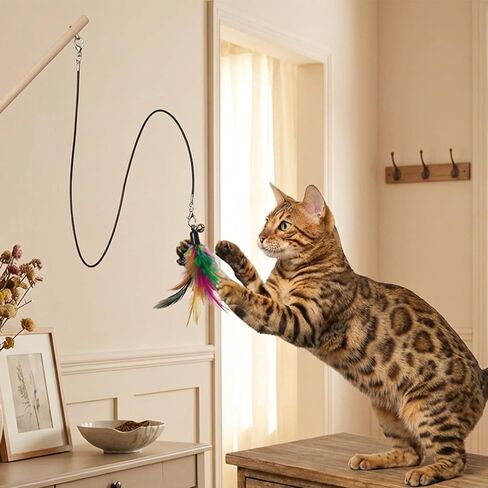 Molain 3 Pcs Cat Wand Toy Replacement Strings, 25 Inch Long Cat Toy String Cat Toy Wire with Lobster Clasps for All Lures Cats Stick in Kuwait