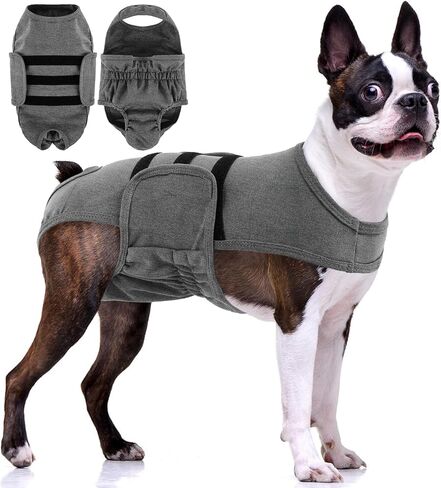 PUMYPOREITY Washable Female Dog Diaper, Adjustable Suspender Pantie, Escape-Proof Anti-Harassment Wear for Heat, Incontinence, Puppy Training, Senior Pet, S, Pink in Kuwait
