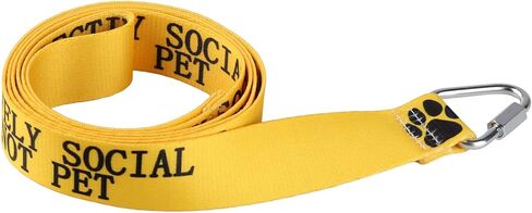 Funny Dog Leash Selectively Social Do Not Pet Dog Leash Walking Training Dog Leashes Dog Owner Pet Lover Gift (Selectively Social Do Not Pet-YE) in Kuwait