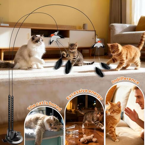 Walfront Interactive Multi Cat Toys for Indoor Cats – Keeps Multiple Cats Busy, Reduces Aggression & Boredom, Perfect for Multi-Cat Homes in Kuwait