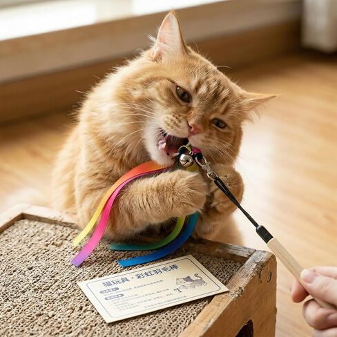 5Pcs Cat Wand Toys Refills, Cat Wand Replacement with Bells, Colorful Wand Attachments for Exercise and Play, Durable and Safe Cat Toy for Most Cats, Kittens in Kuwait