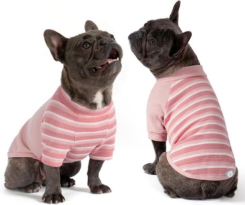 KYEESE 2Pack Waffle Dog Shirt مع الأكمام، قمصان للكلاب خفيفة الوزن للكلاب الصغيرة صبي فتاة، تي شيرت للحيوانات الأليفة قابل للتنفس، ملابس ناعمة للكلاب للارتداء اليومي، أخضر + مخطط، L in Kuwait