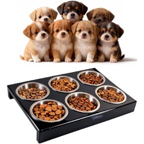 Puppy Feeding System 6 Litter Multiple Dog Bowl Feeder Puppy Feeder Station, Weaning Dish Puppy's Feeding Ideal for Breeders, Litters & Weaning in Kuwait