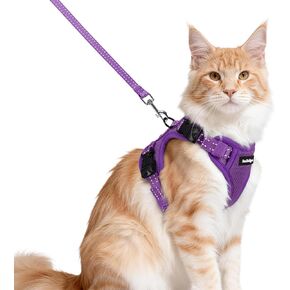 rabbitgoo Cat Harness and Leash, Escape Proof Vest with 3 Adjustable Buckles, Soft Comfortable Kitten Harness, Easy to Wear, Reflective for Safe Outdoor Walking, Medium, Purple in Saudi Arabia