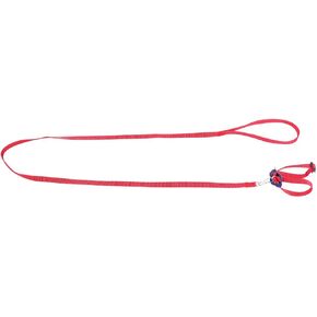 Kisangel Parrot Leash and Small Pet Pulling Rope, Red Sturdy Walking Leash for Hamster Turtle Lizard, Outdoor Pet Supplies for Reptiles and Birds in Kuwait