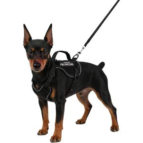 Tactical Dog Harness and Leash Set for Small Dogs - Military Puppy Vest Harness with Patches Vertical Handle Reflective Pet Harness for Walking Hiking Outdoor Training (Black, XXXS) in Kuwait