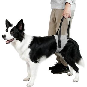 Dog Lift Harness for Dogs, Support Harness for Back Legs, Adjustable Rear Support Harness Grey X-Large in Saudi Arabia