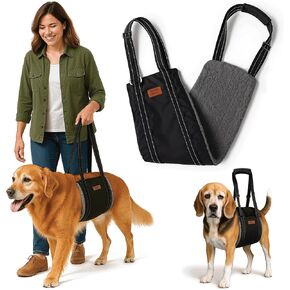 Dog Lifting Harness - Mobility Sling for Weak Back Legs - Rear Support with Soft Fleece Pad, Adjustable Straps & Padded Handle for Recovery & Senior Dogs - Machine Washable (Size L) in Kuwait