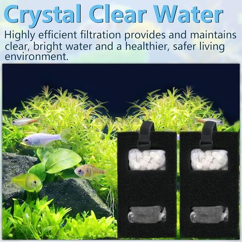 Aquarium Filter Media Set for Fluval SPEC, EVO, Betta and Flex Desktop Aquarium Series, Includes 2 Biomax Filter Media, 2 Carbon Filter Refills, 2 Foam Filter, 2 Filter Cord and 4 Cleaning Brushes in Kuwait