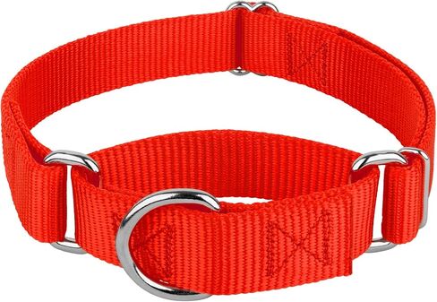 Country Brook Petz - Martingale Dog Collar - Heavy-Duty Training Collar with No Buckle - Service Dog Collar for All Pups - 20 Vibrant Colors (Hot Pink, 1 Inch, Medium) in Kuwait