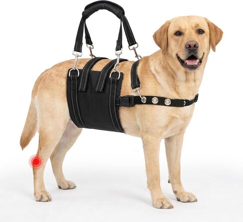 CWV Adjustable All Dogs Lift Harness for Large Dogs, Soft and Portable Dog Dling for Large Dogs Hind Leg Support, Dog Harness for Senior, Injured, Disabled and After Surgery Dogs, Large in Kuwait