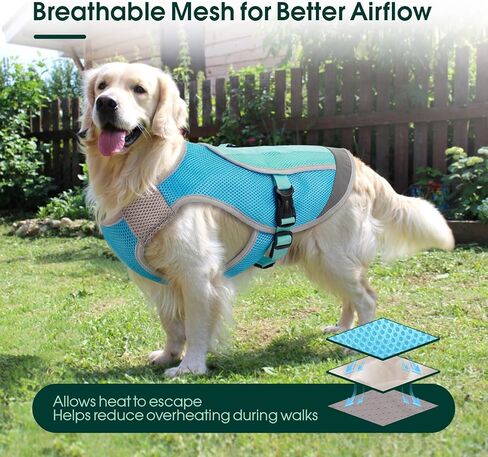 Kuoser Dog Cooling Vest for Summer, Lightweight Dog Cooling Harness Shirt with Breathable Mesh, Reflective Cooler Jacket Pet Cool Vest for Small Medium Large Dogs, Hot Weather, Beach, Hiking, Walking in Kuwait