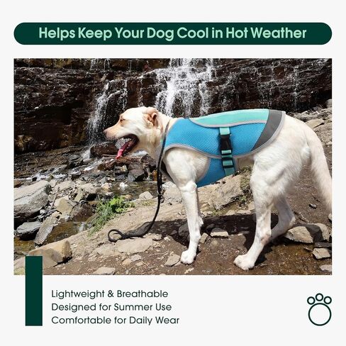 Kuoser Dog Cooling Vest for Summer, Lightweight Dog Cooling Harness Shirt with Breathable Mesh, Reflective Cooler Jacket Pet Cool Vest for Small Medium Large Dogs, Hot Weather, Beach, Hiking, Walking in Kuwait
