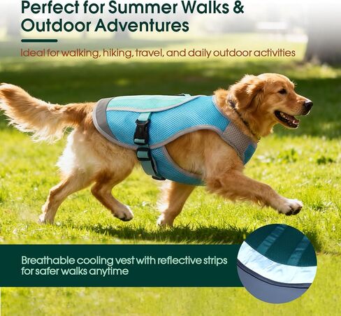 Kuoser Dog Cooling Vest for Summer, Lightweight Dog Cooling Harness Shirt with Breathable Mesh, Reflective Cooler Jacket Pet Cool Vest for Small Medium Large Dogs, Hot Weather, Beach, Hiking, Walking in Kuwait