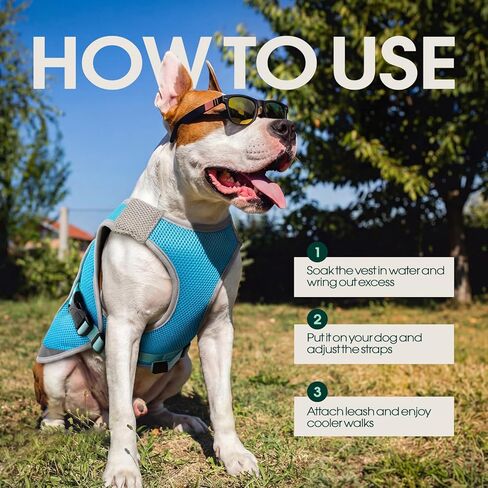 Kuoser Dog Cooling Vest for Summer, Lightweight Dog Cooling Harness Shirt with Breathable Mesh, Reflective Cooler Jacket Pet Cool Vest for Small Medium Large Dogs, Hot Weather, Beach, Hiking, Walking in Kuwait