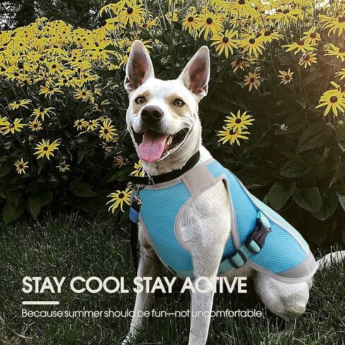 Kuoser Dog Cooling Vest for Summer, Lightweight Dog Cooling Harness Shirt with Breathable Mesh, Reflective Cooler Jacket Pet Cool Vest for Small Medium Large Dogs, Hot Weather, Beach, Hiking, Walking in Kuwait
