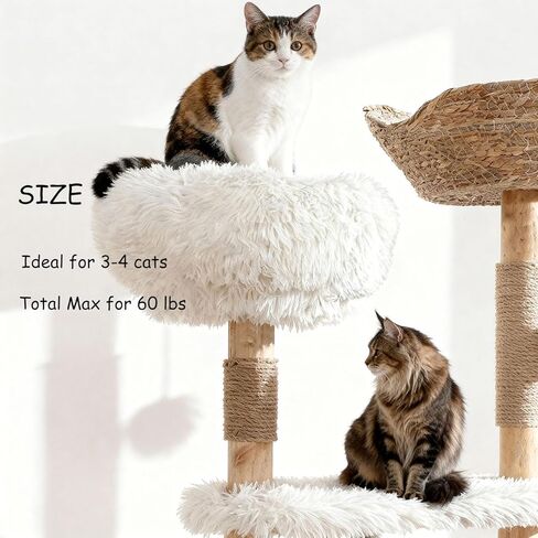 Cats Tree, 51" Modern Cat Tree Tower Natural Solid Wood Cat Furniture Luxury Condo & Dual Perches, Multi-Level Solid Wood Cat Tree Tower with Large Basket for Big Cats in Kuwait