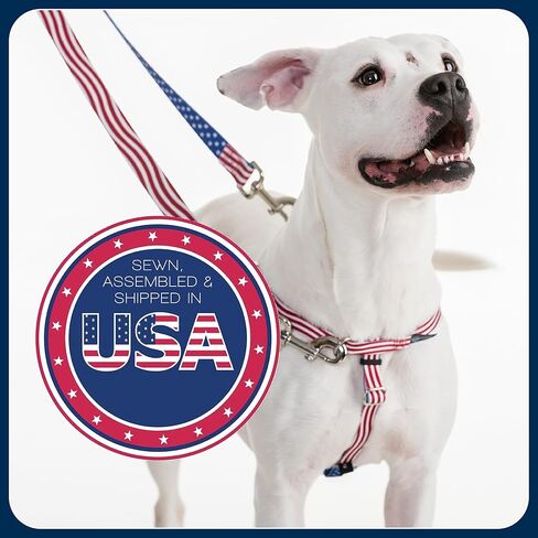 2 Hounds Design Freedom No Pull Dog Harness, Adjustable Harness, Easy Walking & Comfortable Control, Fits Small, Medium & Large Dogs, Solid Colors, Made in USA, 1" LG, Brown in Kuwait