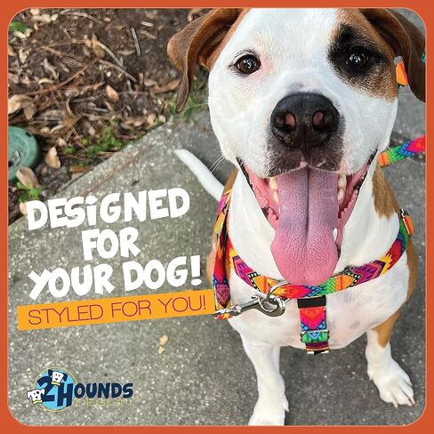 2 Hounds Design Freedom No Pull Dog Harness, Adjustable Harness, Easy Walking & Comfortable Control, Fits Small, Medium & Large Dogs, Solid Colors, Made in USA, 1" LG, Brown in Kuwait