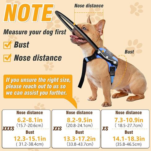 Blind Dog Halo Harness, Adjustable Protective Ring Collar Vest, Safe Navigation & Head Protection for Visually Impaired Pets (XXXS for 12.3-15.1in) in Kuwait