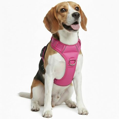No Pull Dog Harness with 2 Leash Clips, Adjustable Soft Padded Reflective Oxford Pet Vest with Easy Control Handle for Large Dogs (Turquoise, Large) in Kuwait