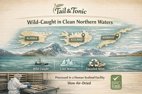 TAIL & TONIC Salmon Skin Dog Treats - Single Ingredient Dog Treats, Air-Dried Chewy Fish Skins for Dogs, High Protein, Omega-3 Rich Dental Chews, Twist in Kuwait