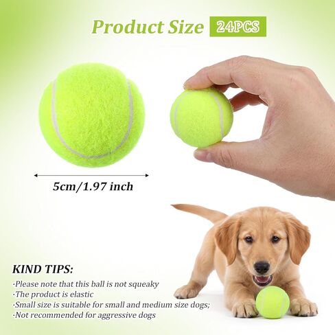 24 Pcs 2 Inch Mini Tennis Balls for Small Dogs, Pet Fetching Training Playing Exercise Rubber Felt Dog Puppy Ball, Yellow in Kuwait
