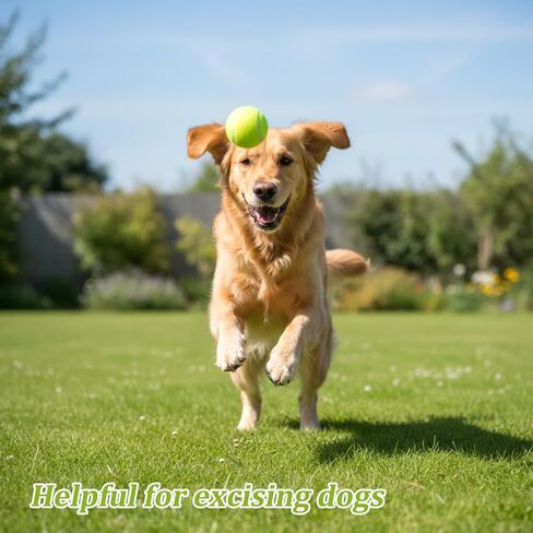 24 Pcs 2 Inch Mini Tennis Balls for Small Dogs, Pet Fetching Training Playing Exercise Rubber Felt Dog Puppy Ball, Yellow in Kuwait