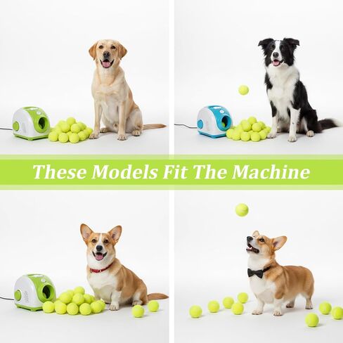24 Pcs 2 Inch Mini Tennis Balls for Small Dogs, Pet Fetching Training Playing Exercise Rubber Felt Dog Puppy Ball, Yellow in Kuwait