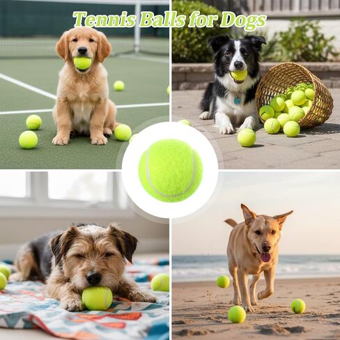 24 Pcs 2 Inch Mini Tennis Balls for Small Dogs, Pet Fetching Training Playing Exercise Rubber Felt Dog Puppy Ball, Yellow in Kuwait