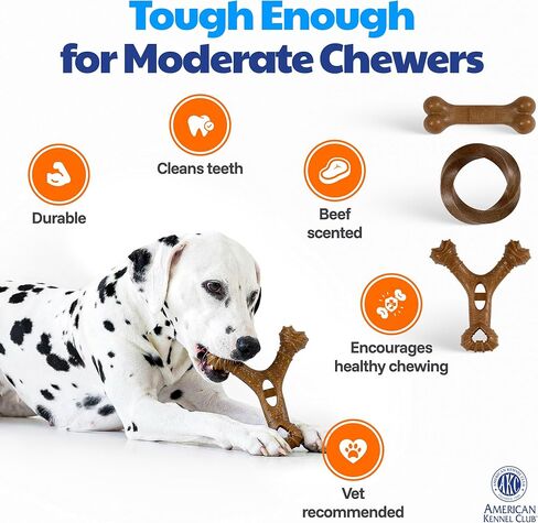 American Kennel Club 3 Pack Training Dog Chew Toy, Wood-Infused PP Assorted Dog Toys, Durable for Moderate Chewers, Beef Scented for Long-Lasting Engagement, Supports Dental Health in Kuwait