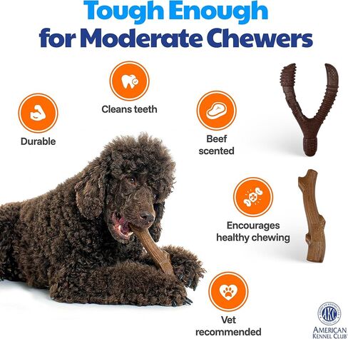 American Kennel Club 2 Pack Training Dog Chew Toy, Wood-Infused PP Assorted Dog Toys, Durable Toys for Moderate Chewers, Beef Scented for Long-Lasting Engagement, Supports Dental Health in Kuwait