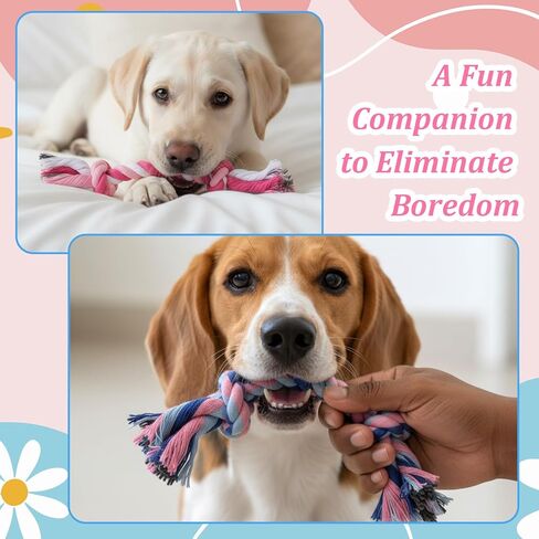 48 Pcs Dog Toys Bulk, 6.7-Inch Dog Rope Toy for Small Medium Dogs, Cotton Puppy Chew Rope for Teething, Tug of War, Dental Health, Interactive Ropes Toys for Dogs, Aggressive Chewers in Kuwait