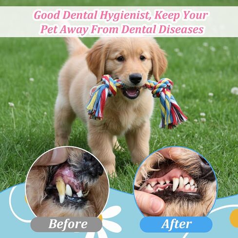48 Pcs Dog Toys Bulk, 6.7-Inch Dog Rope Toy for Small Medium Dogs, Cotton Puppy Chew Rope for Teething, Tug of War, Dental Health, Interactive Ropes Toys for Dogs, Aggressive Chewers in Kuwait