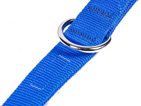 مقود الكلاب من النايلون المريح بعرض 3/8 بوصة من GOGO Pet Products، بطول 4 أقدام، أزرق in Kuwait