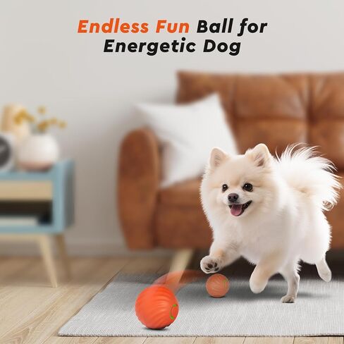Interactive Dog Toys Ball Small, 2.1 inch Bouncing Rotating Ball, Pet Toys for Small Dogs, USB Rechargeable (Orange) in Kuwait