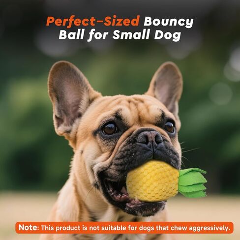 Interactive Dog Toys Ball Small, 2.1 inch Bouncing Rotating Ball, Pet Toys for Small Dogs, USB Rechargeable (Orange) in Kuwait