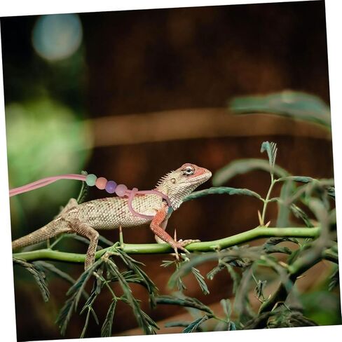 PRETYZOOM 3pcs Luminous Reptile Leash and Harness Set for Outdoor Use, Adjustable Pink Pet Traction Rope for Bearded Dragons and Lizards in Kuwait