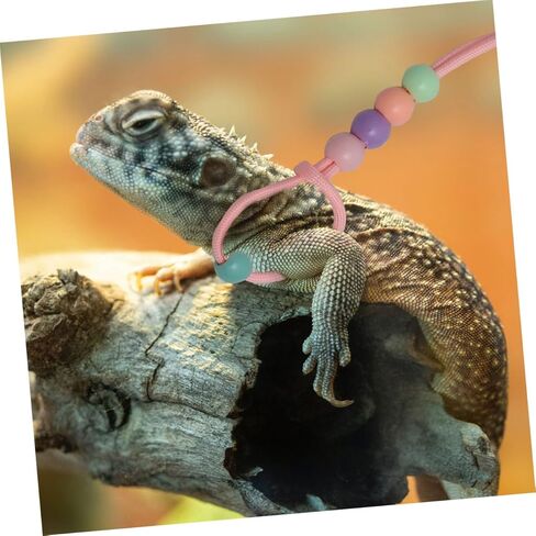 KALLORY 3pcs Lizard Leash and Harness Set, Adjustable Glow-in-the-Dark Reptile Outdoor Harness for Small Pets, Portable Traction Rope for Bearded Dragons and Geckos in Kuwait
