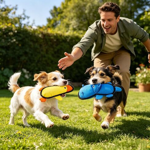 EXPAWLORER Floating Dog Toys for Pool & Summer, 3 Pack Squeaky Water Fetch Soft Durable Oxford Fabric Interactive Chew Toys with Crinkle for Small Medium Large Dogs Play, Hippo, Duck & Crocodily in Kuwait