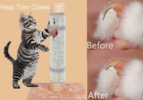 Cat Nail File Scratcher- Natural Sisal Scratching Pad with 80-Grit Aluminum Oxide, Wrap-Around Design for Trimming Cat Nails, Repairing Cat Trees& Posts in Kuwait
