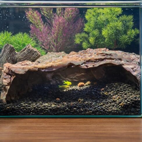 Large Resin Aquarium Cave Hideout, Fish Tank Rock Decor with 2 Top Viewing Holes and Side Viewing Window, Shelter for Betta, Shrimp and Small Fish, 8.3 x 7.5 x 3.5 in in Kuwait