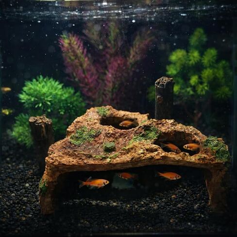 Large Resin Aquarium Cave Hideout, Fish Tank Rock Decor with 2 Top Viewing Holes and Side Viewing Window, Shelter for Betta, Shrimp and Small Fish, 8.3 x 7.5 x 3.5 in in Kuwait